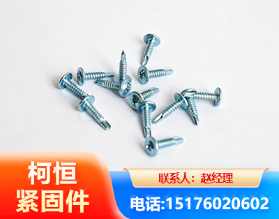 潮州华司钻尾丝