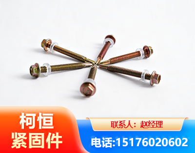 潮州六角钻尾丝