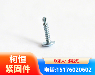 潮州华司钻尾丝